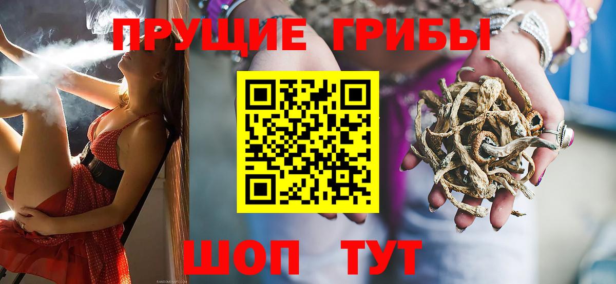 Лсд 25 Минусинск