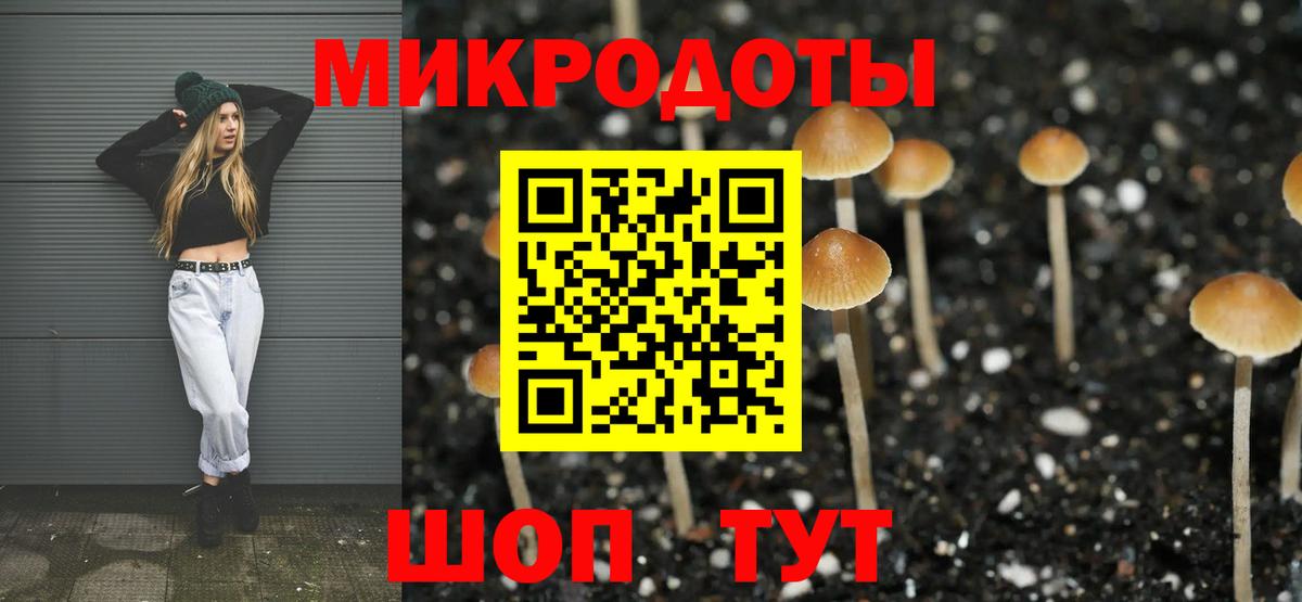 Галлюциногенные грибы Magic Shrooms  купить наркоту  Минусинск  Вход с VPN  Галлюциногенные грибы Psilocybe 